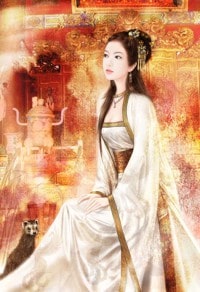 最佳贅婿