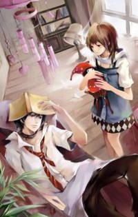 杨门女将穆桂英别传